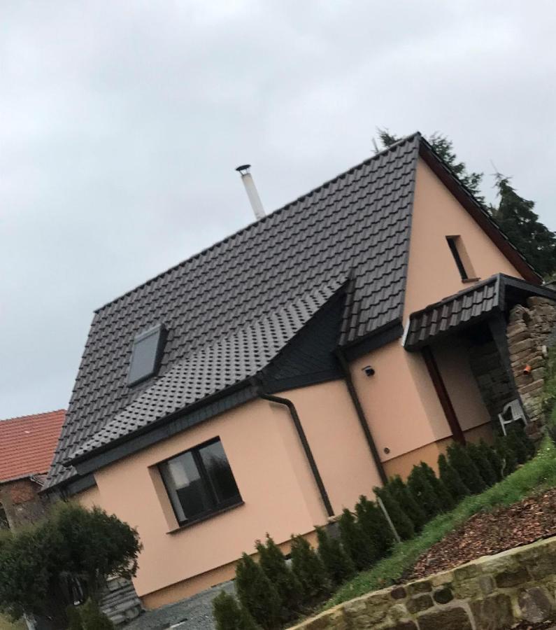 Ferienhaus Unstrutblick Kaiserpfalz Eksteriør billede
